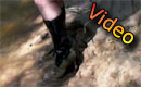 video p006_03.avi