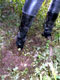 picture p007_01.jpg
