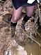 picture p008_02.jpg