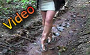 video p017_03.avi